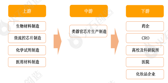 医药行业颠覆性技术！类器官芯片产业链图谱及全球重点企业分析(图2)