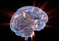 模拟大脑!自适应神经连接光子处理器问世:通过光传输处理数据(图1) 模拟大脑!自适应神经连接光子处理器问世:通过光传输处理数据