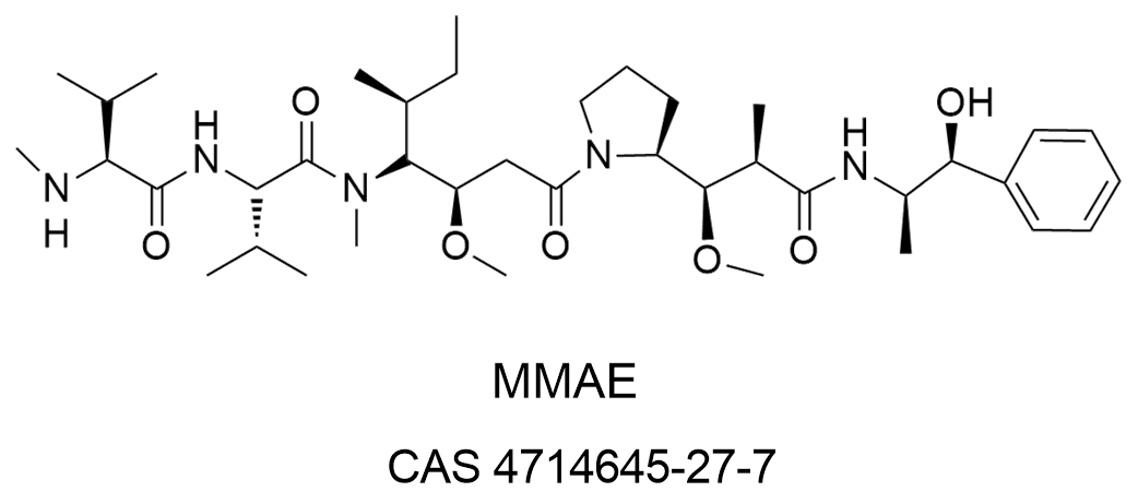 国内首个！星联肽多肽偶联药物IND申请获受理(图2)