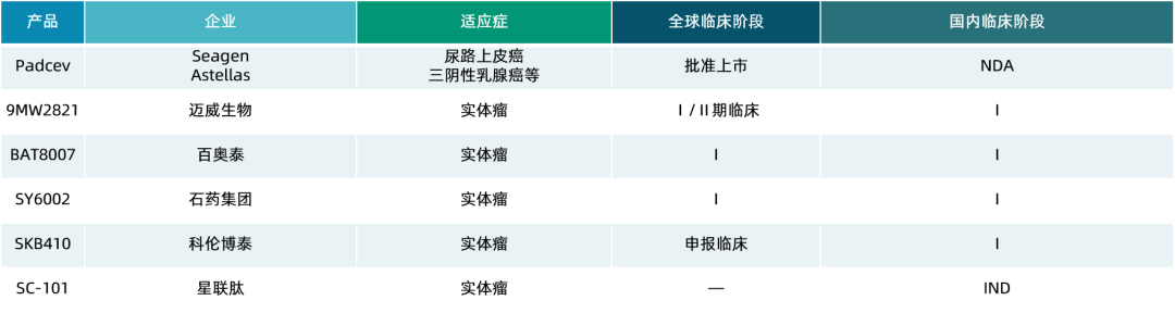 国内首个！星联肽多肽偶联药物IND申请获受理(图5)