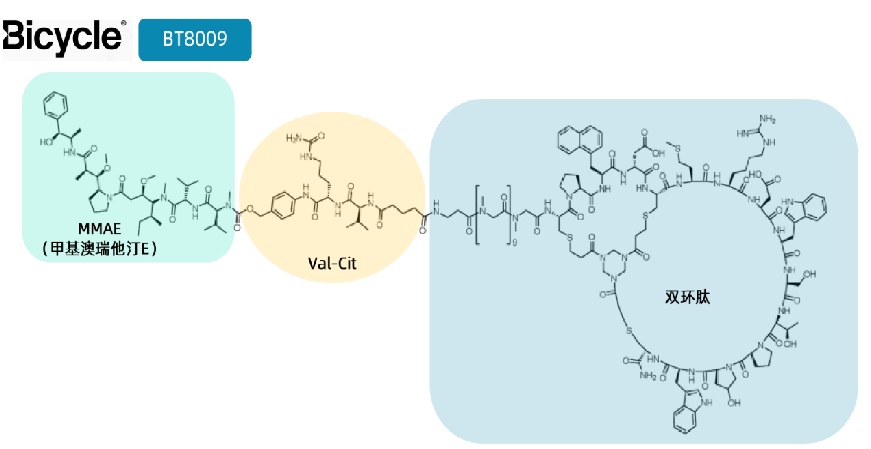国内首个！星联肽多肽偶联药物IND申请获受理(图10)