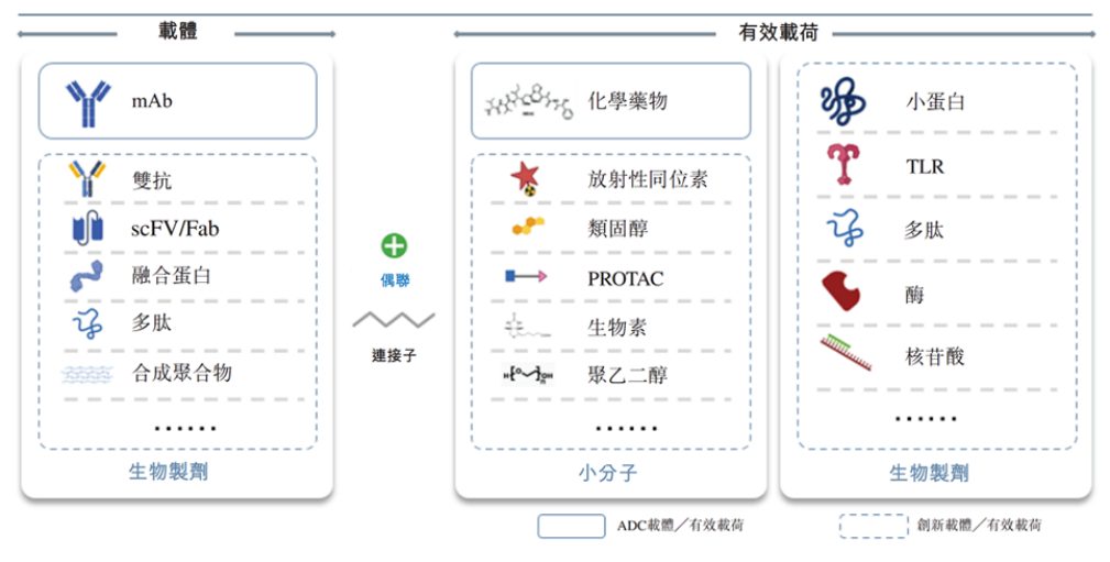 国内首个！星联肽多肽偶联药物IND申请获受理(图6)