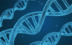 量子计算机首次识别出单个核苷酸:有望推动癌症、传染病研究(图1) 量子计算机首次识别出单个核苷酸:有望推动癌症、传染病研究