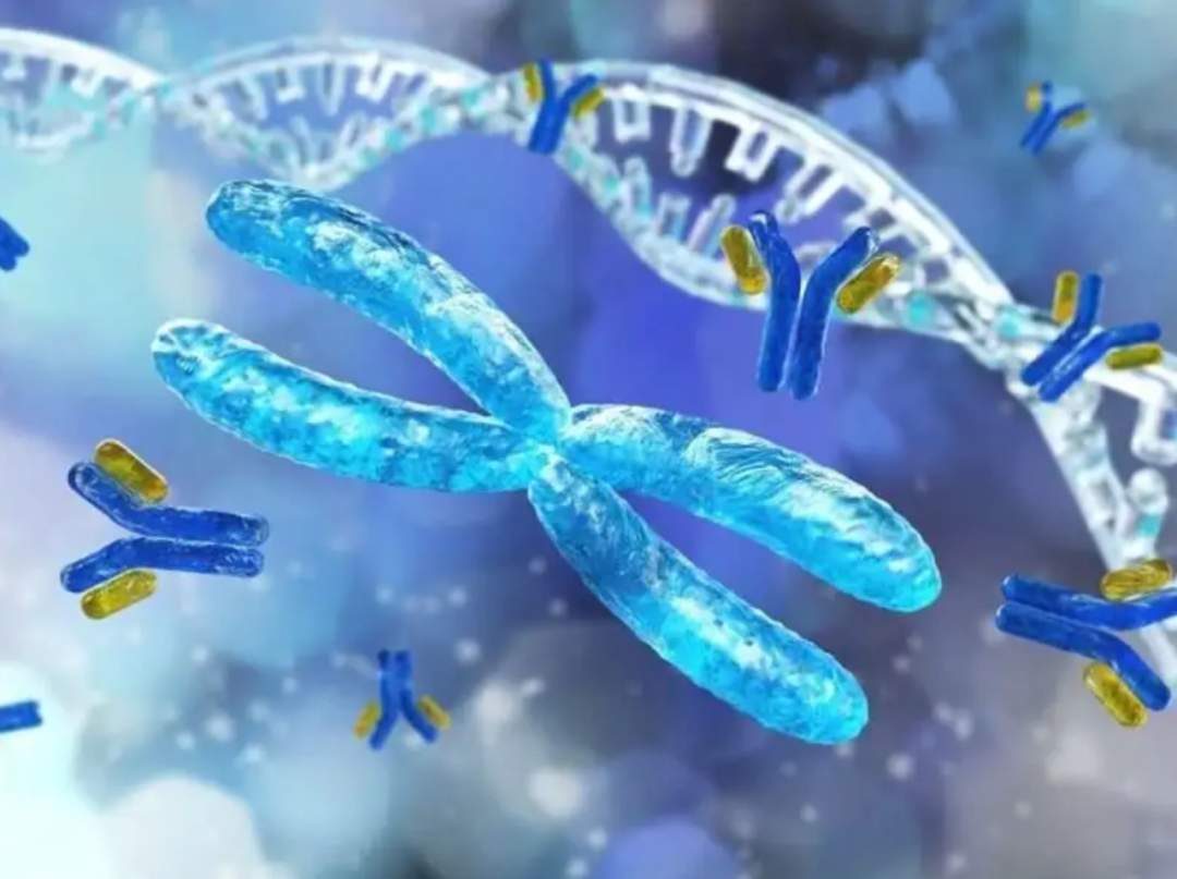 一种新工具可预测不同种族人群患阿尔茨海默病的风险(图1) 一种新工具可预测不同种族人群患阿尔茨海默病的风险(图1)