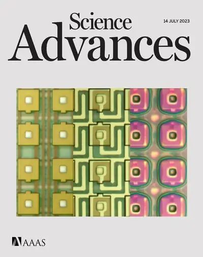 一种用于检测神经退行性疾病蛋白的新型生物传感器(图1)