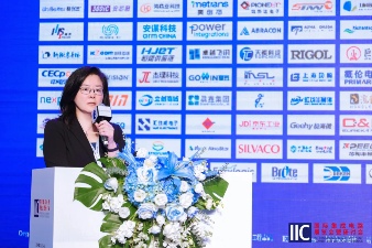 亮相IIC Shenzhen 2024，爱芯元智仇肖莘分享AI时代半导体新机遇(图1)