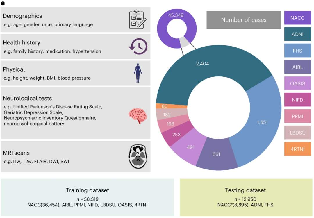 新的人工智能软件可以让医生更容易、更快地诊断失智症(图4)