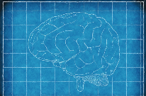 重磅研究!中国首创人脑驱动机器人(图1) 重磅研究!中国首创人脑驱动机器人