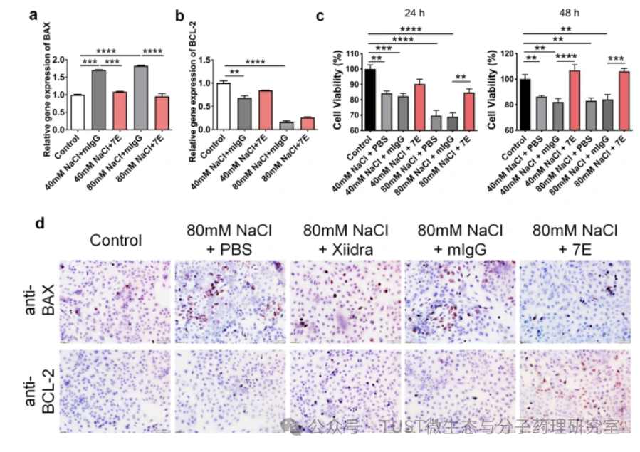 白细胞介素-20是干眼病潜在的治疗靶标(图2)