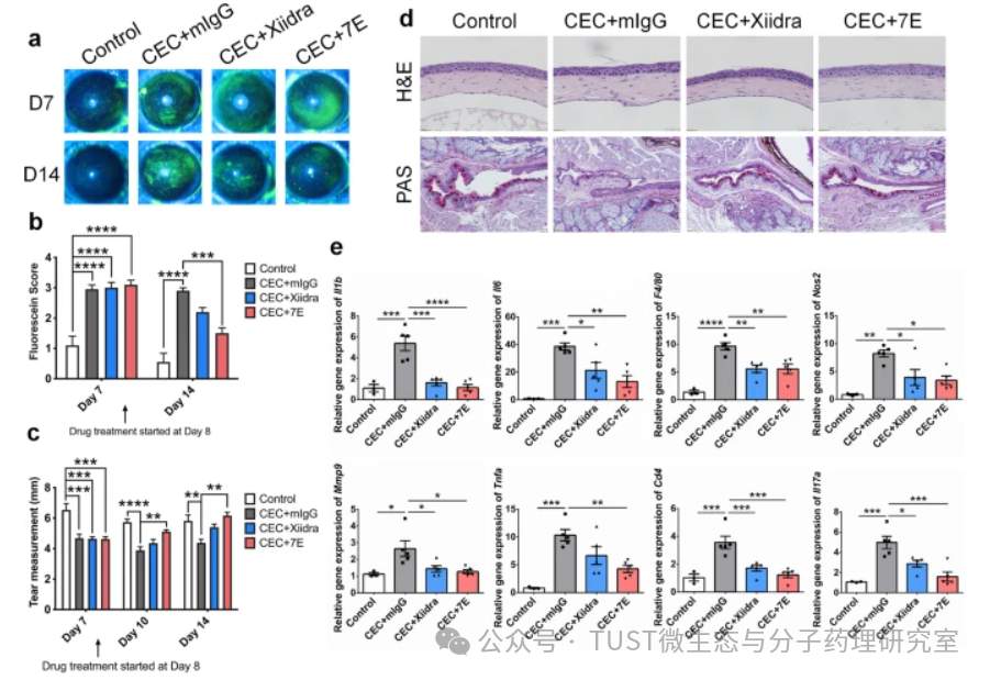 白细胞介素-20是干眼病潜在的治疗靶标(图4)