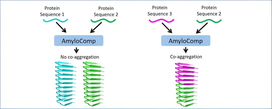 预测淀粉样蛋白共聚集的生物信息学工具(图4) 预测淀粉样蛋白共聚集的生物信息学工具(图4)