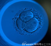 Time-lapse培养箱中的传感器技术：精准控制环境，提升胚胎培养效率(图1)