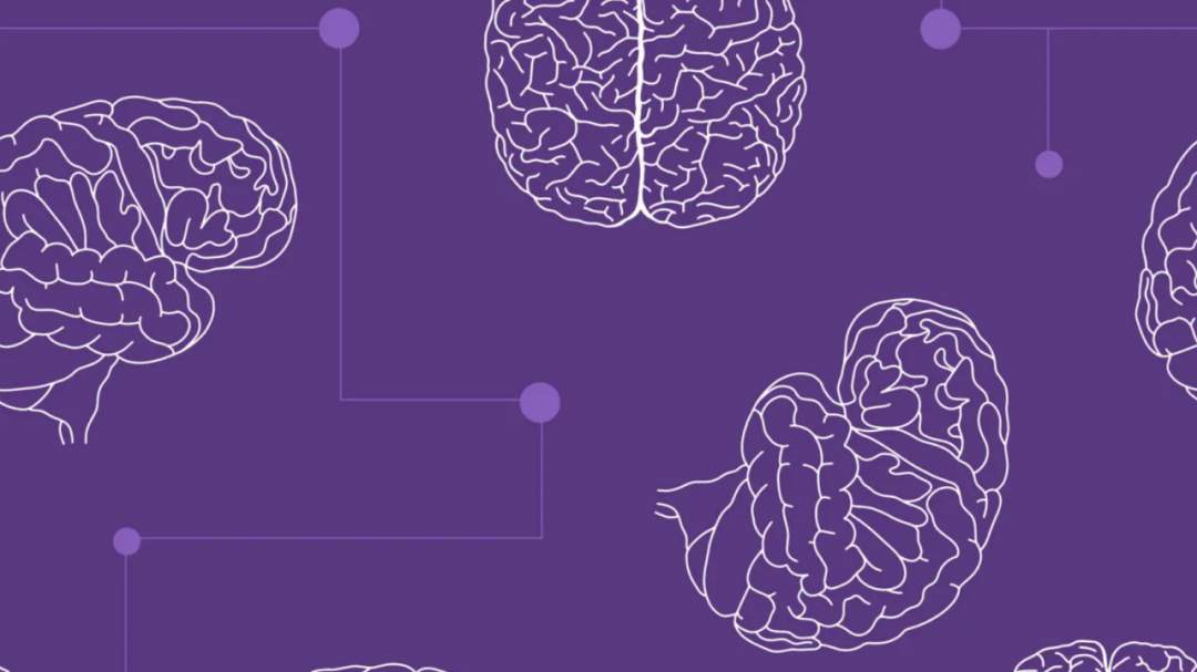 新发现的线粒体DNA有益突变似乎有助于阿尔茨海默病基因携带者活得更长(图10)