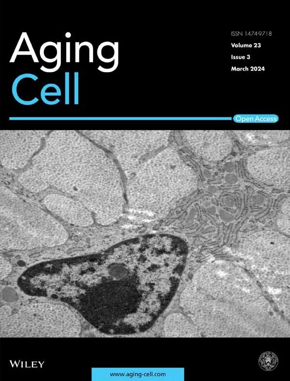 新发现的线粒体DNA有益突变似乎有助于阿尔茨海默病基因携带者活得更长(图11)