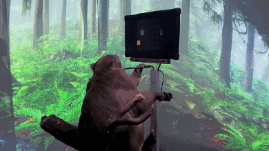 人类首次脑机接口芯片植入成功，马斯克Neuralink技术突破引关注(图9)