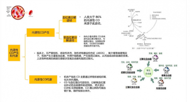 内源性一氧化碳检测在新生儿疾病诊断中的应用价值(图1)