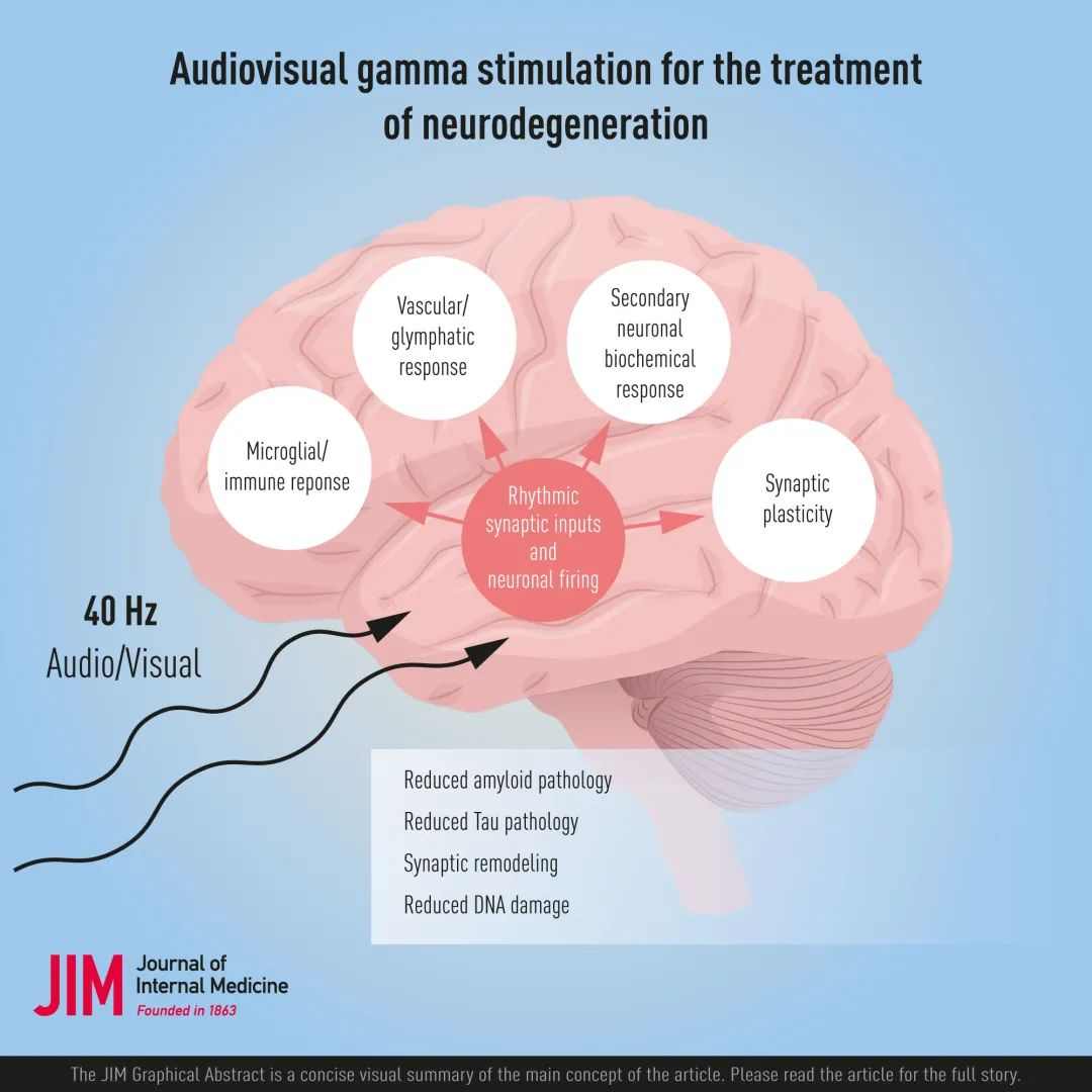 早期但正在出现的证据表明,伽马节律刺激可以治疗神经系统疾病(图7) 早期但正在出现的证据表明,伽马节律刺激可以治疗神经系统疾病(图7)