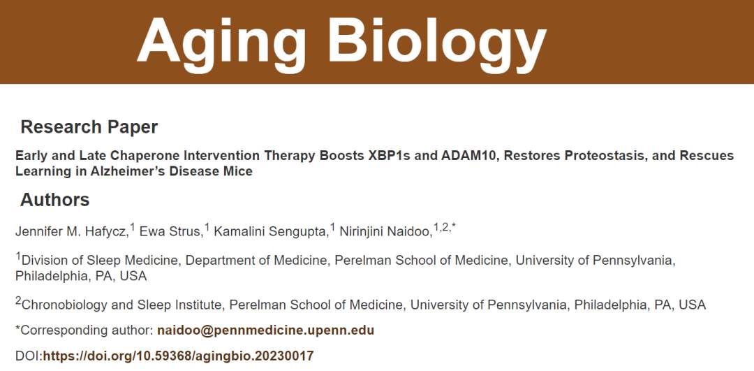 新疗法逆转阿尔茨海默病症状(图2)