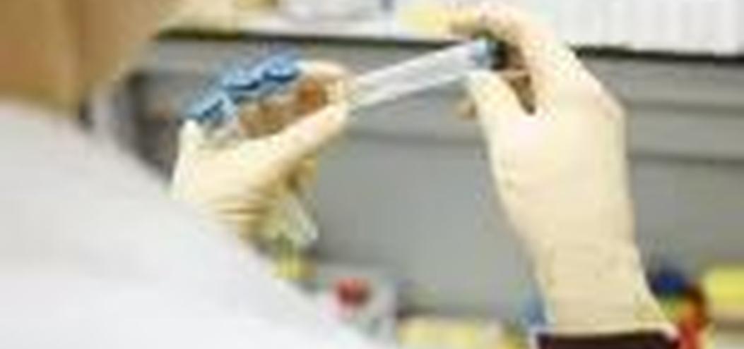 竞赛不断升级，全球首款针对XBB毒株的新冠疫苗上市(图1)