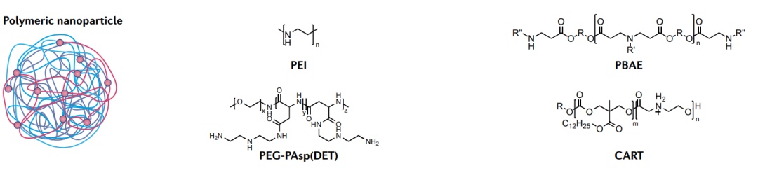 mRNA纳米载体(图3) mRNA纳米载体(图3)