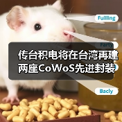 传台积电将在台湾再建两座CoWoS先进封装厂（图2）