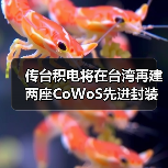 传台积电将在台湾再建两座CoWoS先进封装厂（图4）