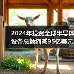 2024年投资全球半导体设备总额缩减95亿美元，降至1233亿美元（图4）