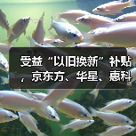 受益“以旧换新”补贴，京东方、华星、惠科等连续三月提高面板厂利用率（图3）