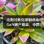 比利时氮化镓制造商BelGaN破产拍卖，中国企业成主要买家之一（图2）