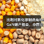比利时氮化镓制造商BelGaN破产拍卖，中国企业成主要买家之一（图3）