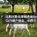比利时氮化镓制造商BelGaN破产拍卖，中国企业成主要买家之一（图1）