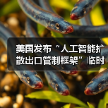 美国发布“人工智能扩散出口管制框架”临时最终规则（图2）