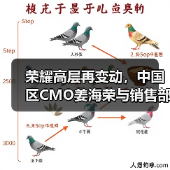 荣耀高层再变动，中国区CMO姜海荣与销售部部长郑树宝离职（图1）