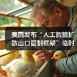 美国发布“人工智能扩散出口管制框架”临时最终规则（图1）