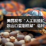 美国发布“人工智能扩散出口管制框架”临时最终规则（图4）