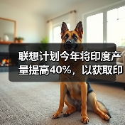 联想计划今年将印度产量提高40%，以获取印度补贴机会（图1）