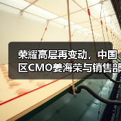 荣耀高层再变动，中国区CMO姜海荣与销售部部长郑树宝离职（图3）