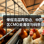 荣耀高层再变动，中国区CMO姜海荣与销售部部长郑树宝离职（图4）