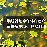 联想计划今年将印度产量提高40%，以获取印度补贴机会（图4）