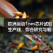 欧洲启动1nm芯片试验生产线，弥合研究与制造差距（图3）