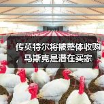 传英特尔将被整体收购，马斯克是潜在买家（图4）