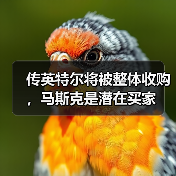 传英特尔将被整体收购，马斯克是潜在买家（图1）