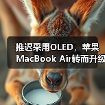 推迟采用OLED，苹果MacBook Air转而升级氧化物TFT-LCD（图4）