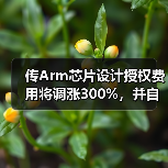 传Arm芯片设计授权费用将调涨300%，并自主研发芯片（图4）