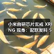 小米自研芯片玄戒 XRING 现身：配联发科 5G 基带，有望 4 月随新机首发（图4）