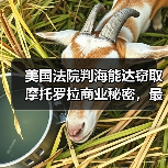 美国法院判海能达窃取摩托罗拉商业秘密，最高罚款6000万美元（图1）