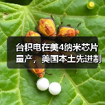 台积电在美4纳米芯片量产，美国本土先进制程首次突破（图1）