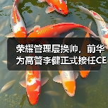 荣耀管理层换帅，前华为高管李健正式接任CEO（图4）