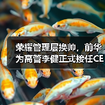 荣耀管理层换帅，前华为高管李健正式接任CEO（图2）