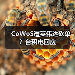 CoWoS遭英伟达砍单？台积电回应（图1）